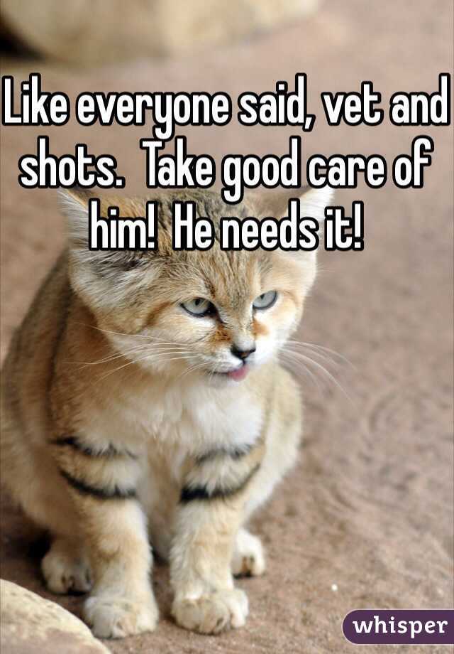 Like everyone said, vet and shots.  Take good care of him!  He needs it!