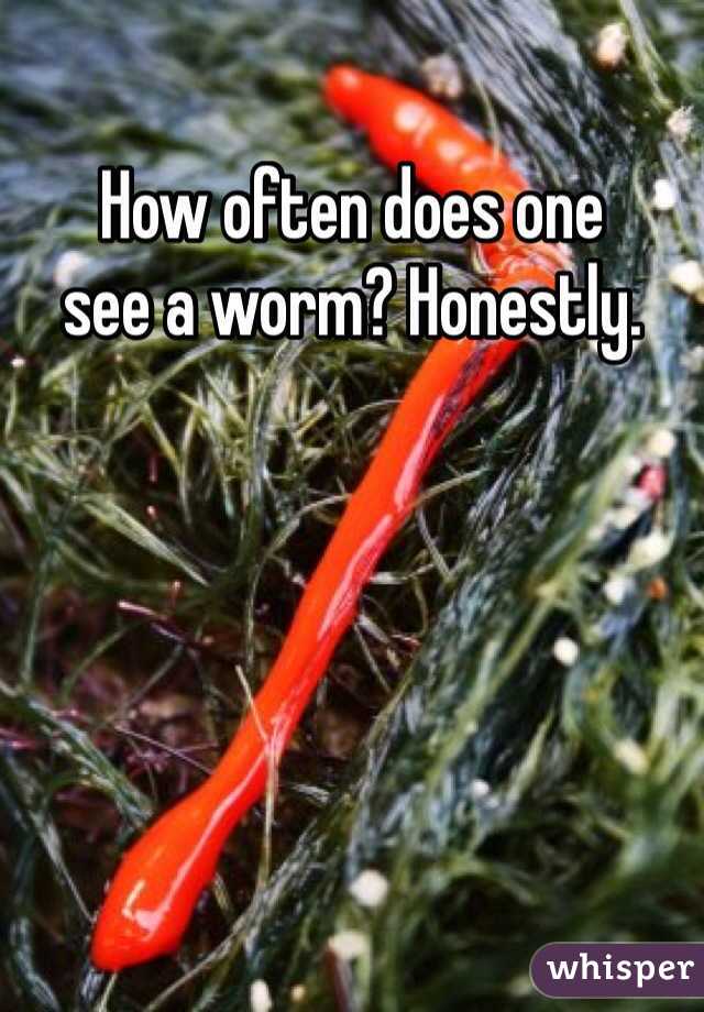 How often does one
see a worm? Honestly.