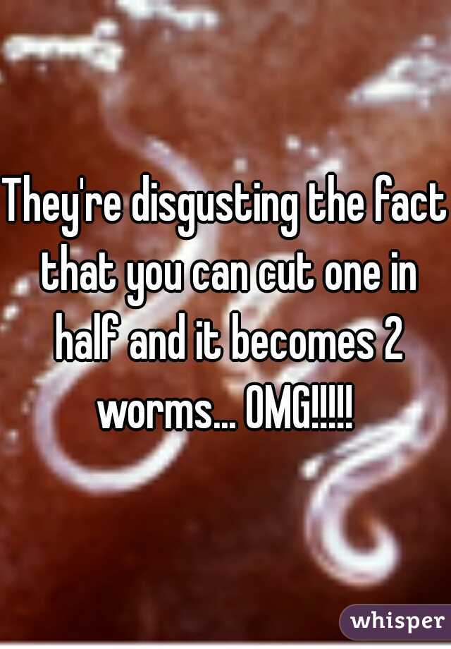 They're disgusting the fact that you can cut one in half and it becomes 2 worms... OMG!!!!! 