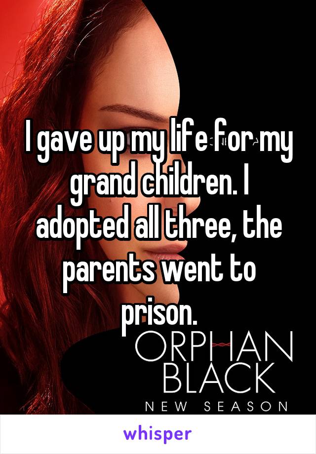 I gave up my life for my grand children. I adopted all three, the parents went to prison.
