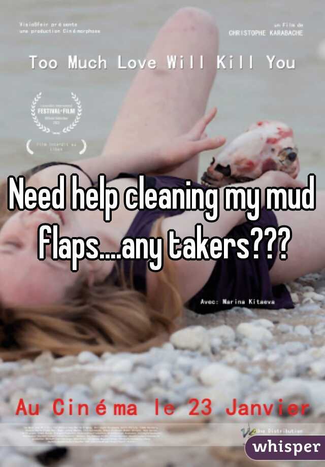 Need help cleaning my mud flaps....any takers???