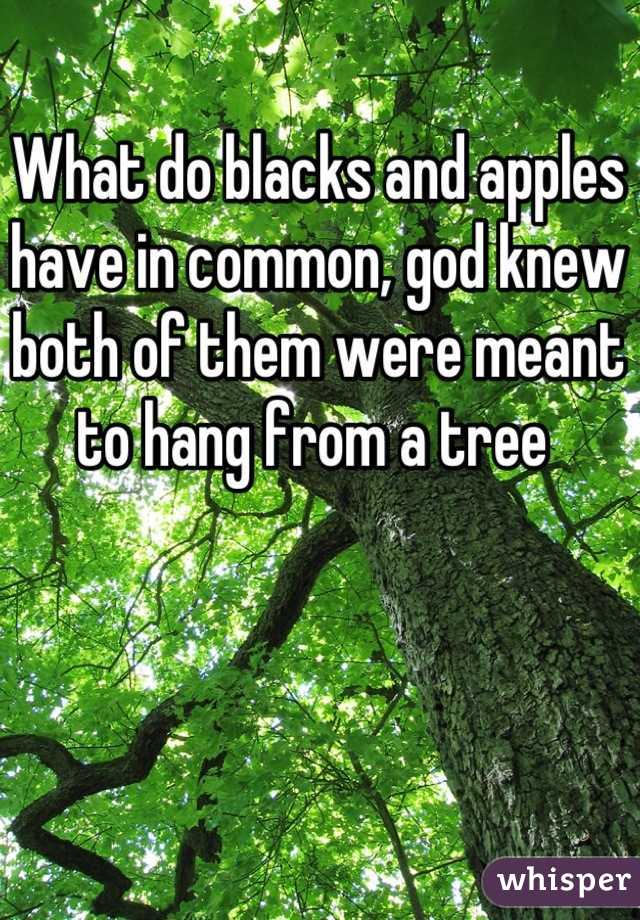 What do blacks and apples have in common, god knew both of them were meant to hang from a tree 