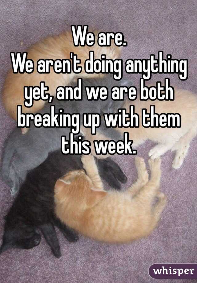 We are.
We aren't doing anything yet, and we are both breaking up with them this week.