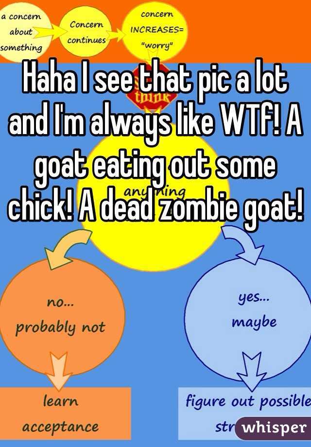 Haha I see that pic a lot and I'm always like WTf! A goat eating out some chick! A dead zombie goat!