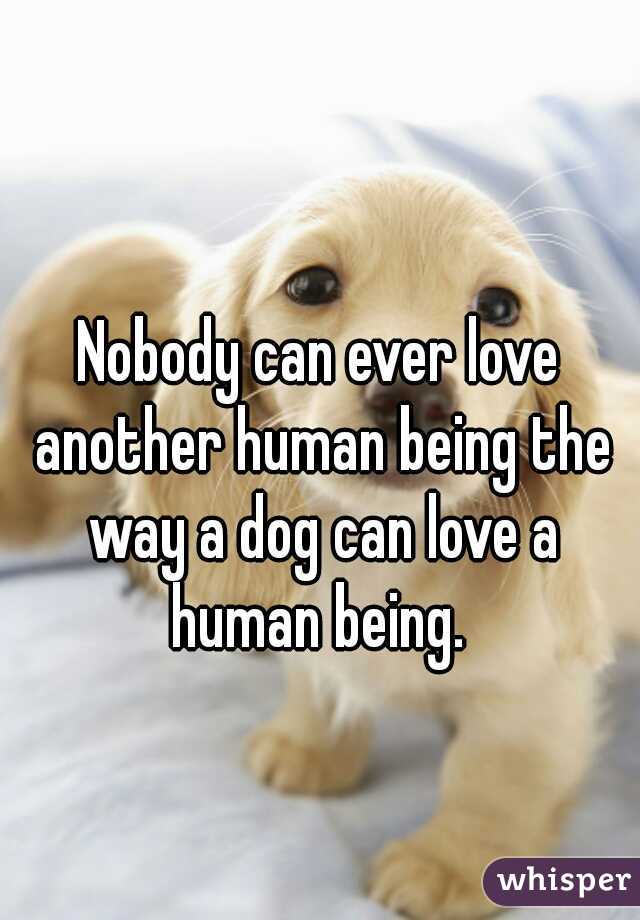 Nobody can ever love another human being the way a dog can love a human being. 