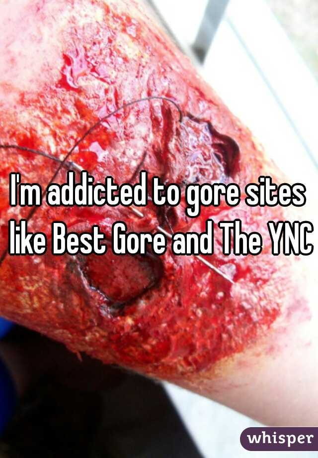 I'm addicted to gore sites like Best Gore and The YNC
