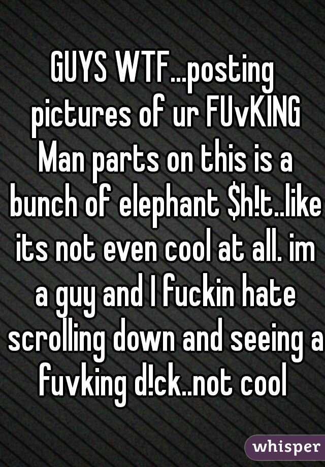 GUYS WTF...posting pictures of ur FUvKING Man parts on this is a bunch of elephant $h!t..like its not even cool at all. im a guy and I fuckin hate scrolling down and seeing a fuvking d!ck..not cool 