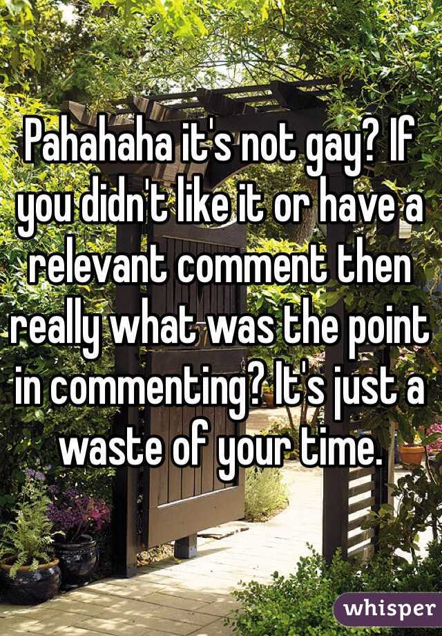 Pahahaha it's not gay? If you didn't like it or have a relevant comment then really what was the point in commenting? It's just a waste of your time.