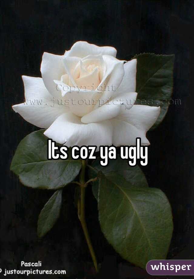 Its coz ya ugly