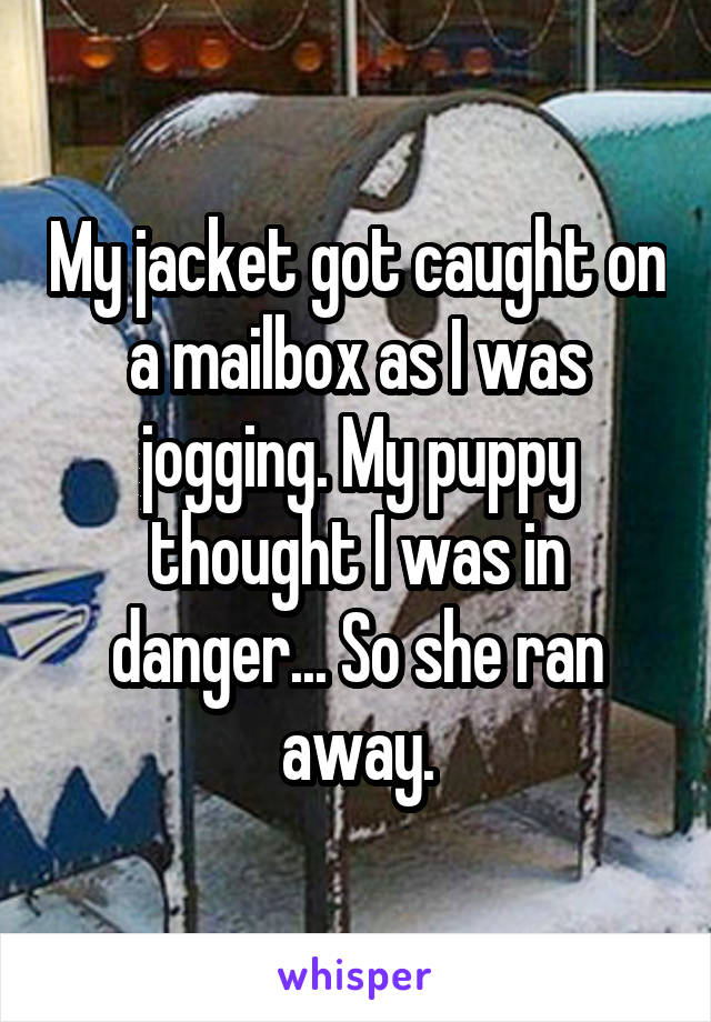 My jacket got caught on a mailbox as I was jogging. My puppy thought I was in danger... So she ran away.