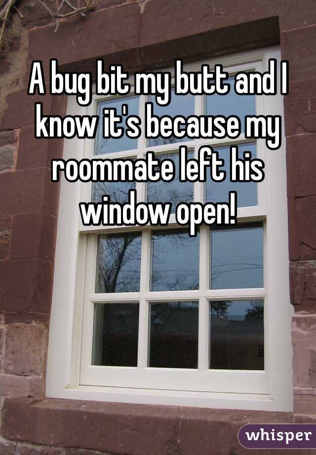 A bug bit my butt and I know it's because my roommate left his window open! 