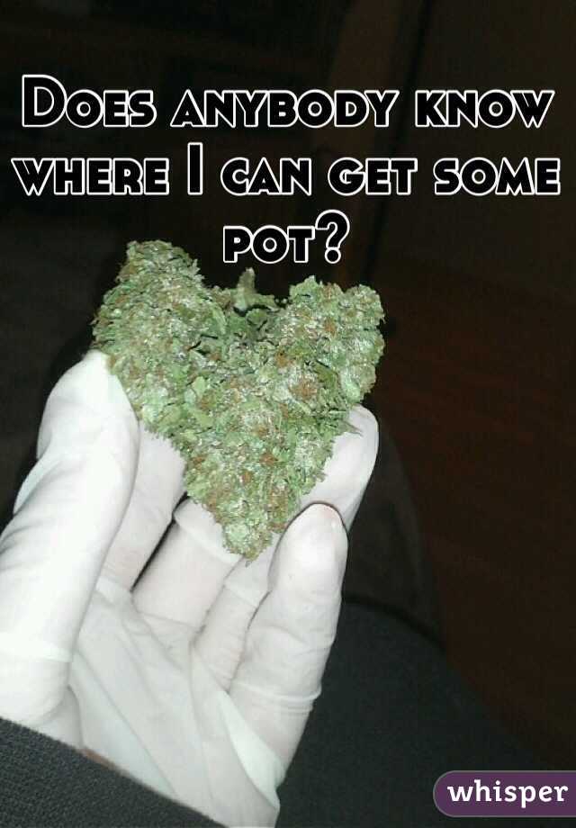Does anybody know where I can get some pot? 