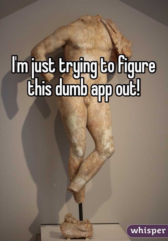 I'm just trying to figure this dumb app out!