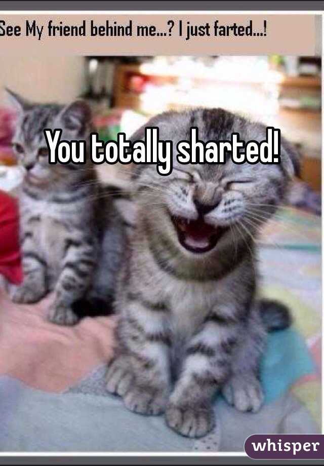 You totally sharted!