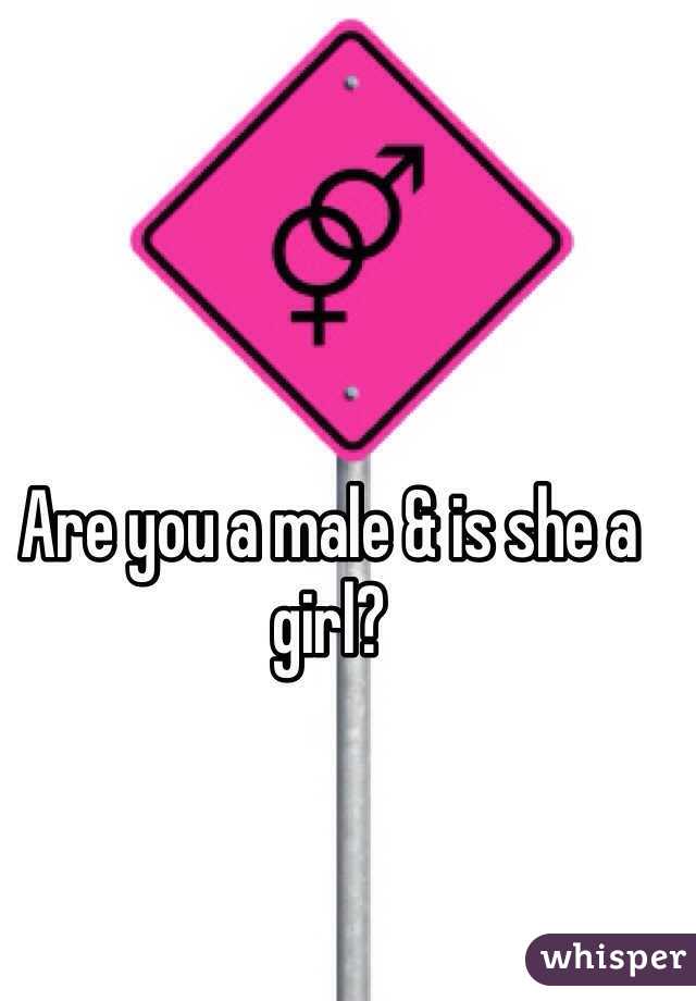 Are you a male & is she a girl?