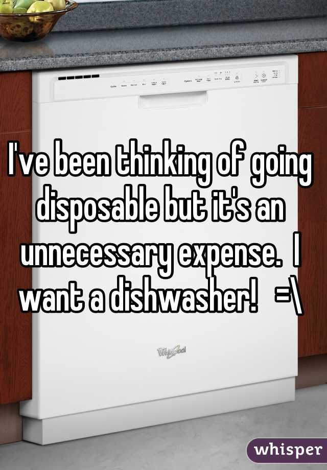 I've been thinking of going disposable but it's an unnecessary expense.  I want a dishwasher!   =\