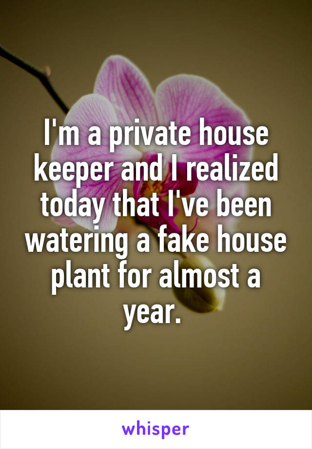 I'm a private house keeper and I realized today that I've been watering a fake house plant for almost a year. 