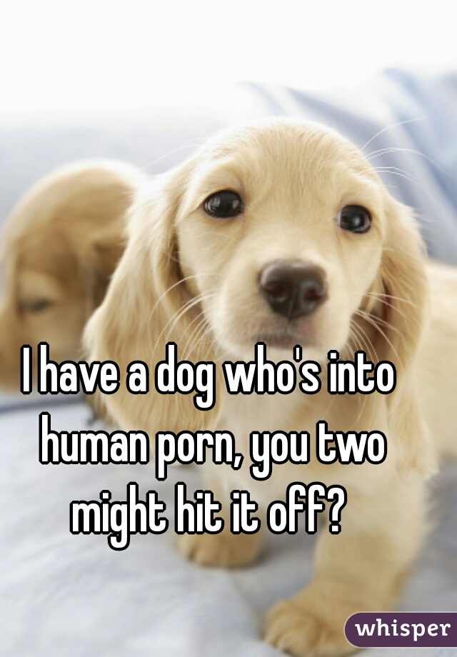I have a dog who's into human porn, you two might hit it off? 