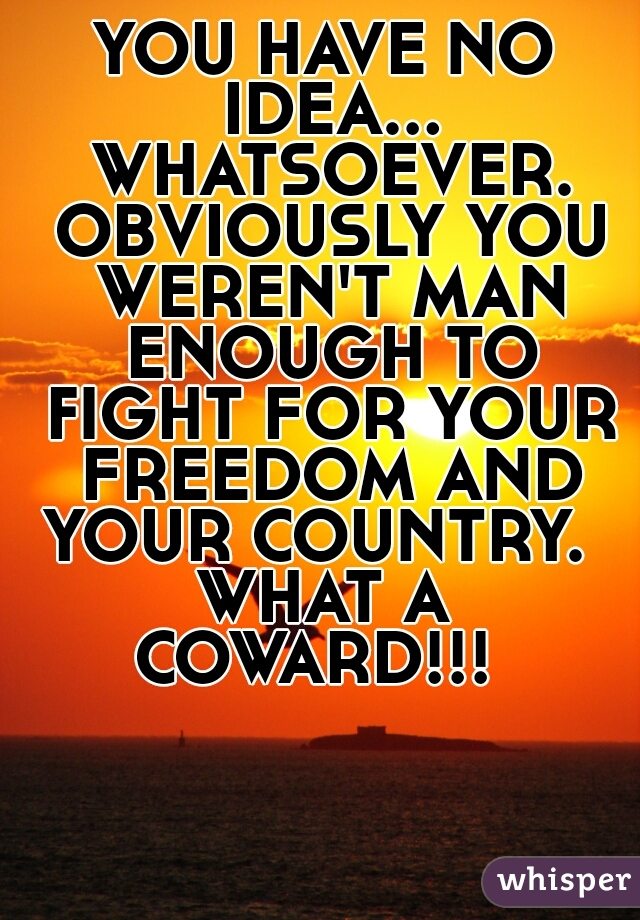 YOU HAVE NO IDEA... WHATSOEVER. OBVIOUSLY YOU WEREN'T MAN ENOUGH TO FIGHT FOR YOUR FREEDOM AND YOUR COUNTRY.  
WHAT A COWARD!!!  