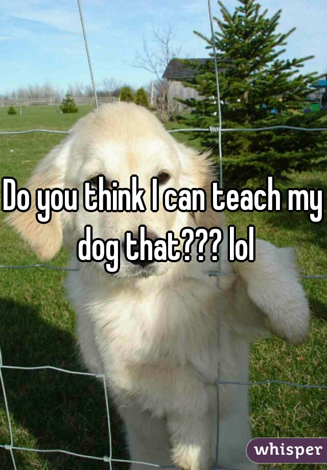 Do you think I can teach my dog that??? lol