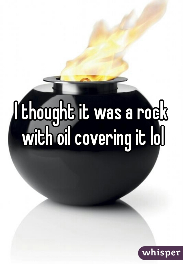 I thought it was a rock with oil covering it lol