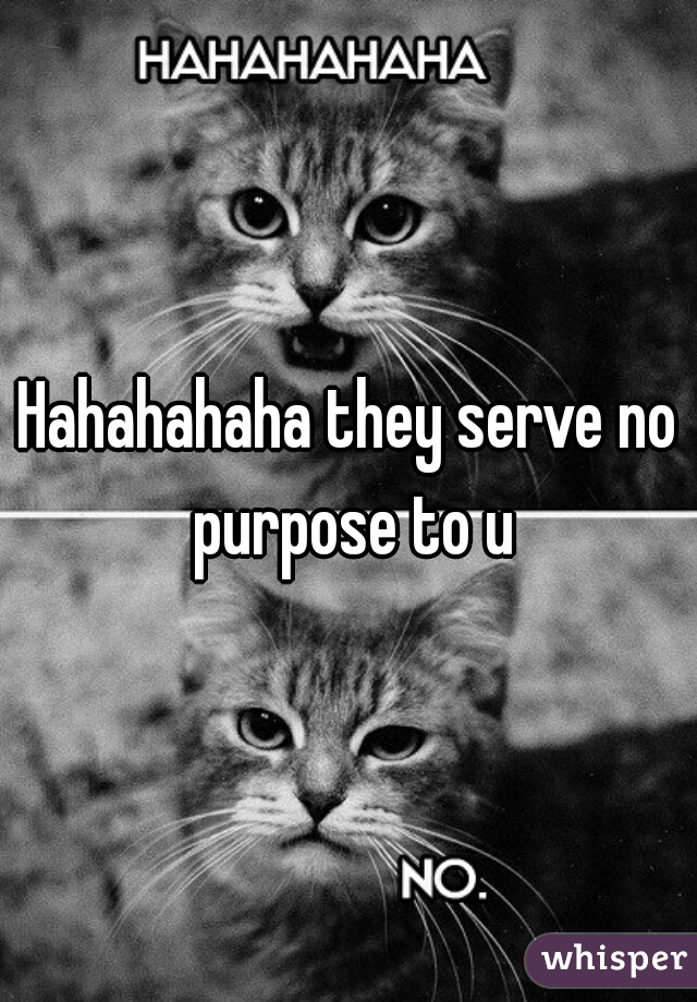 Hahahahaha they serve no purpose to u