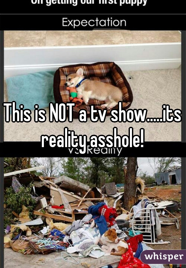 This is NOT a tv show.....its reality asshole! 