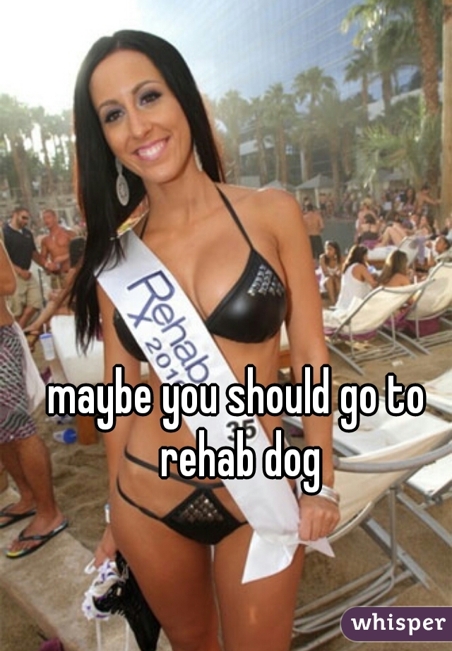 maybe you should go to rehab dog