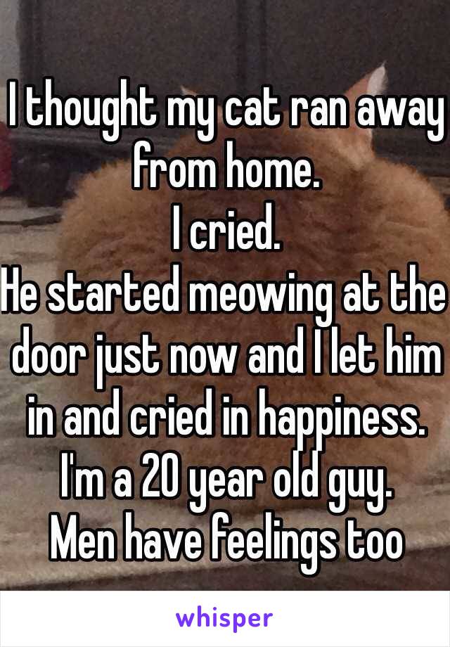 I thought my cat ran away from home.
I cried.
He started meowing at the door just now and I let him in and cried in happiness.
I'm a 20 year old guy.
Men have feelings too