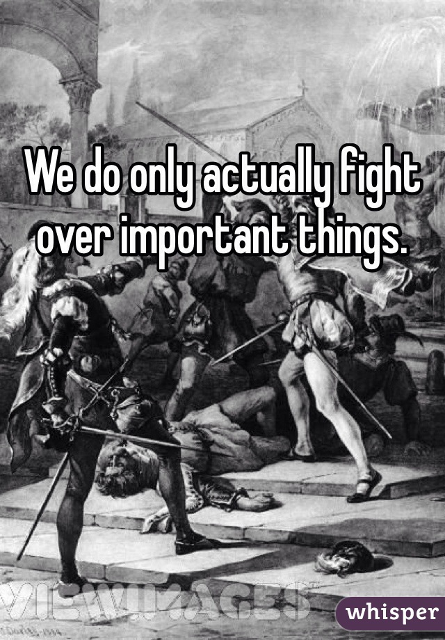 We do only actually fight over important things.