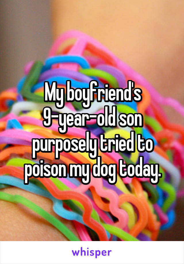 My boyfriend's 9-year-old son purposely tried to poison my dog today.