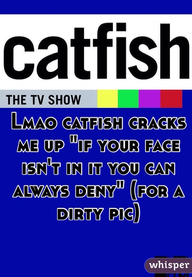 Lmao catfish cracks me up "if your face isn't in it you can always deny" (for a dirty pic)
