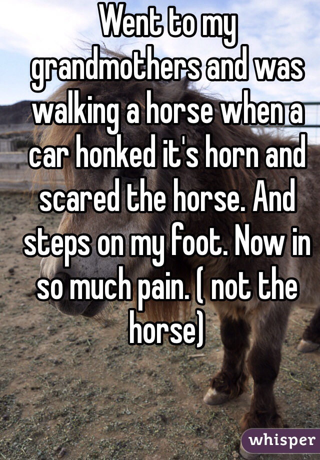 Went to my grandmothers and was walking a horse when a car honked it's horn and scared the horse. And steps on my foot. Now in so much pain. ( not the horse)