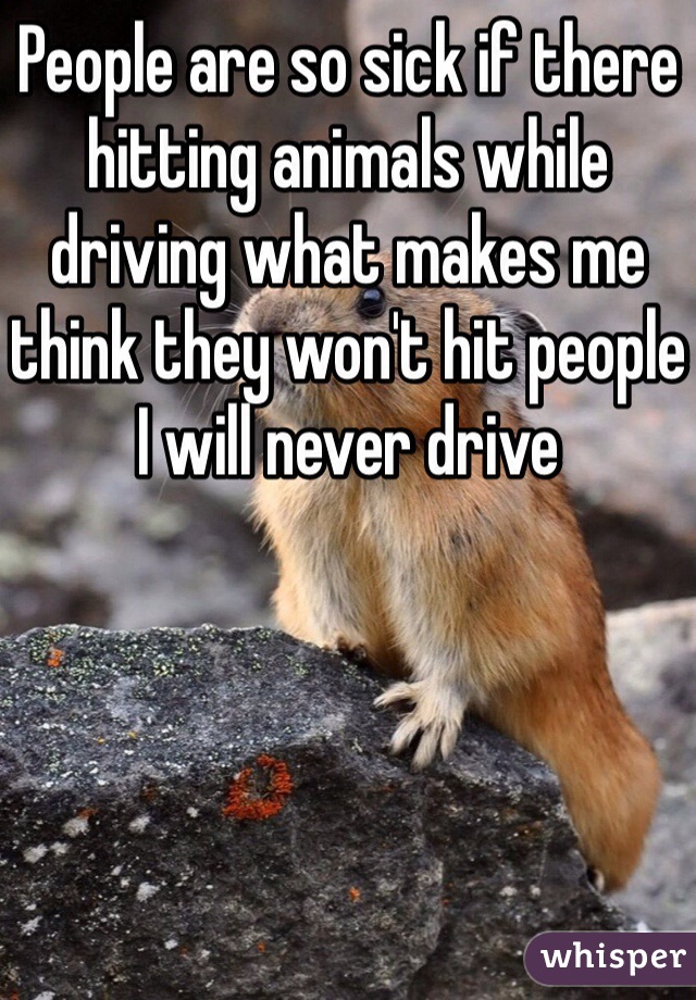 People are so sick if there hitting animals while driving what makes me think they won't hit people I will never drive 