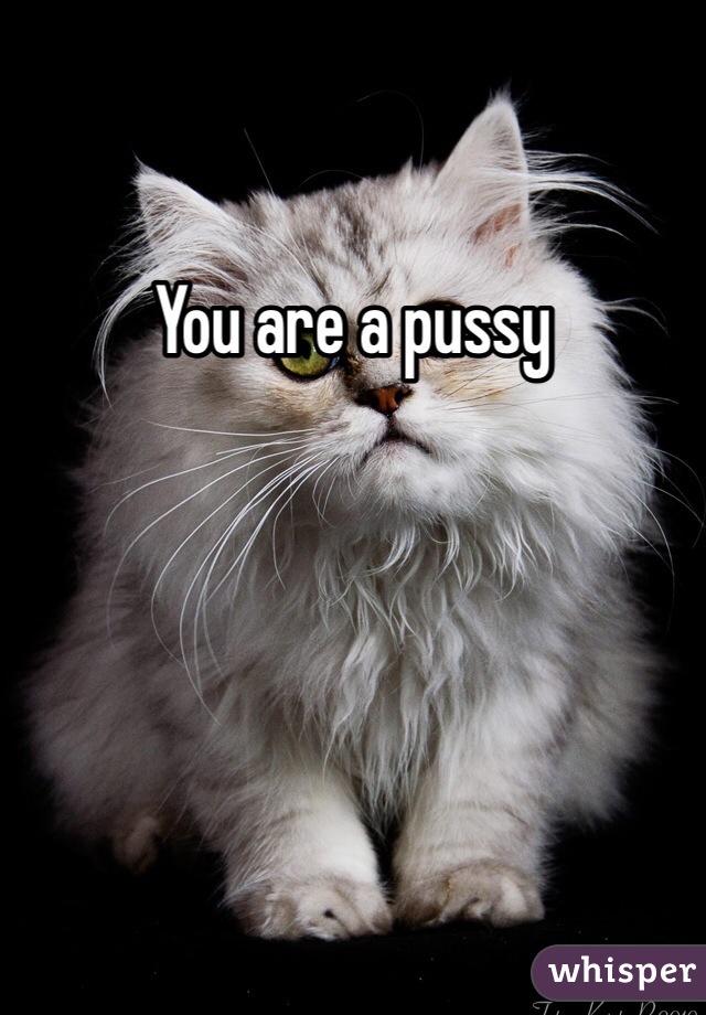 You are a pussy