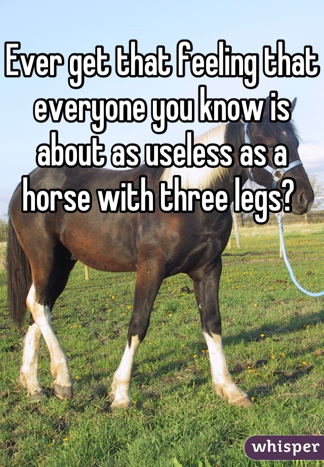 Ever get that feeling that everyone you know is about as useless as a horse with three legs? 