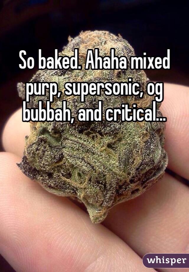 So baked. Ahaha mixed purp, supersonic, og bubbah, and critical...  