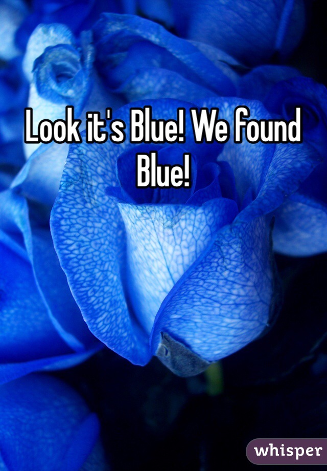 Look it's Blue! We found Blue!