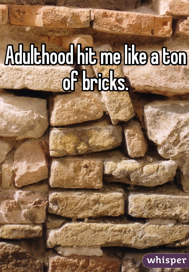 Adulthood hit me like a ton of bricks. 