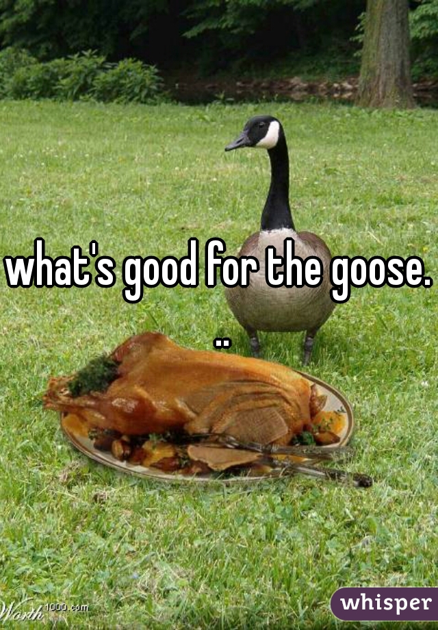 what's good for the goose. ..