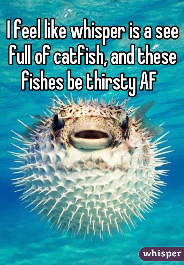 I feel like whisper is a see full of catfish, and these fishes be thirsty AF  