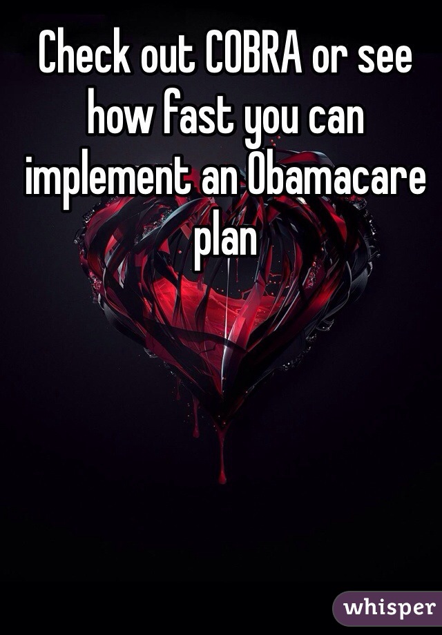 Check out COBRA or see how fast you can implement an Obamacare plan