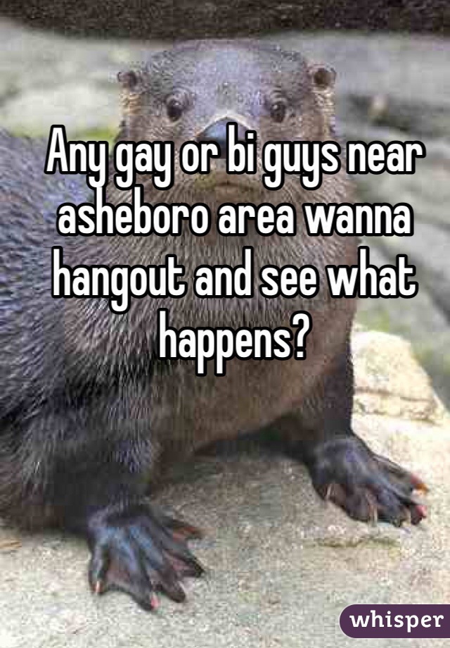 Any gay or bi guys near asheboro area wanna hangout and see what happens? 