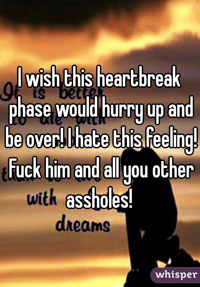 I wish this heartbreak phase would hurry up and be over! I hate this feeling! Fuck him and all you other assholes! 