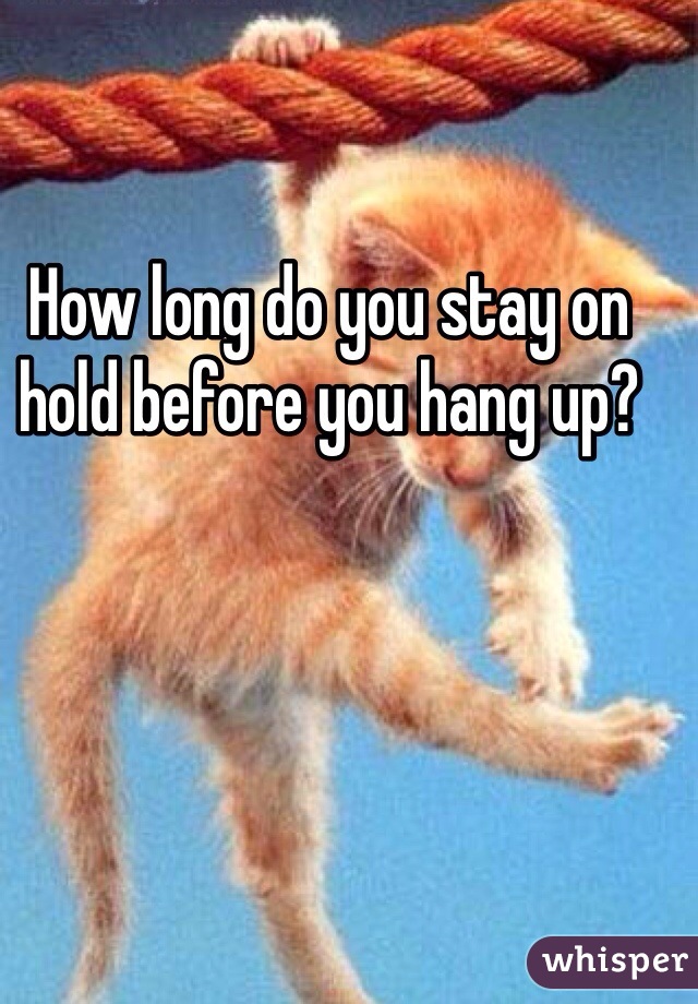 How long do you stay on hold before you hang up?