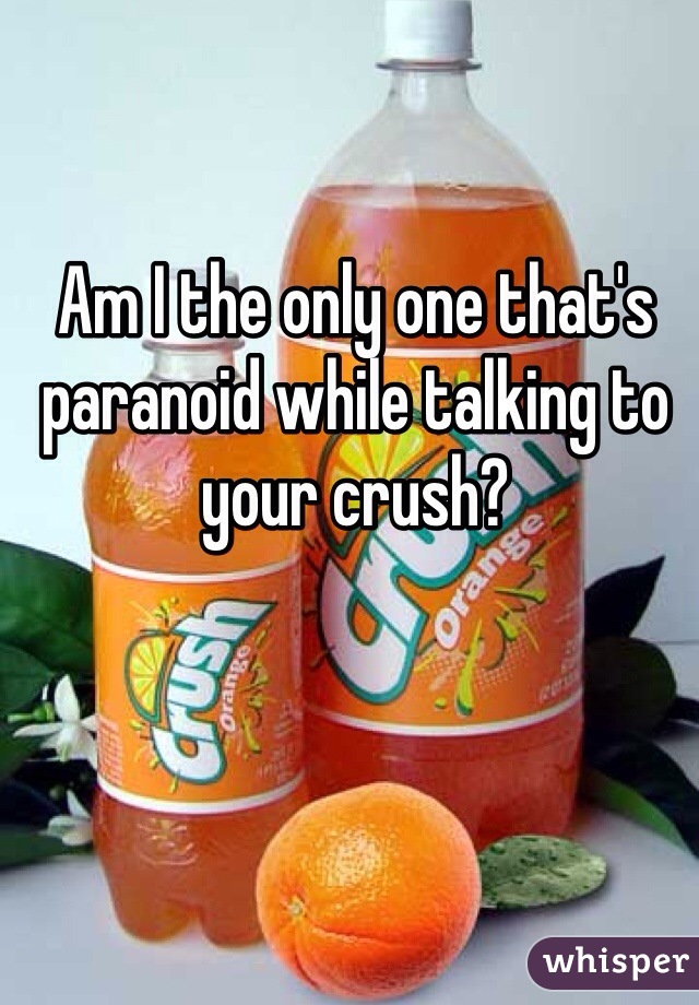 Am I the only one that's paranoid while talking to your crush? 