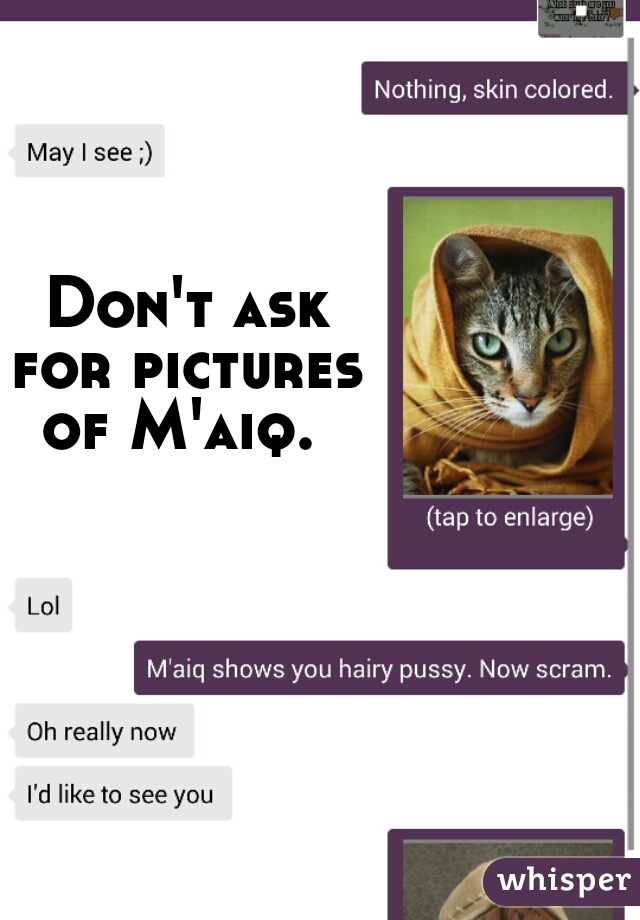 Don't ask
for pictures
of M'aiq. 