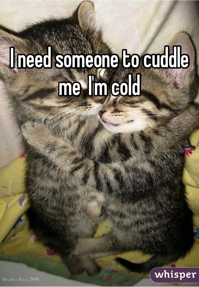 I need someone to cuddle me  I'm cold