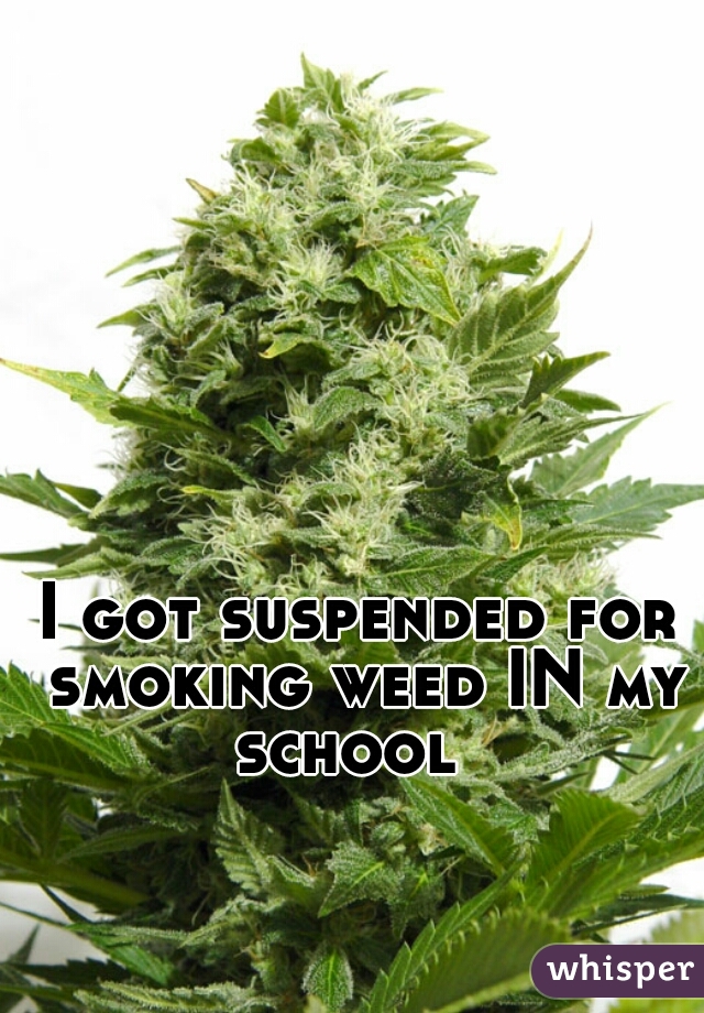 I got suspended for smoking weed IN my school  