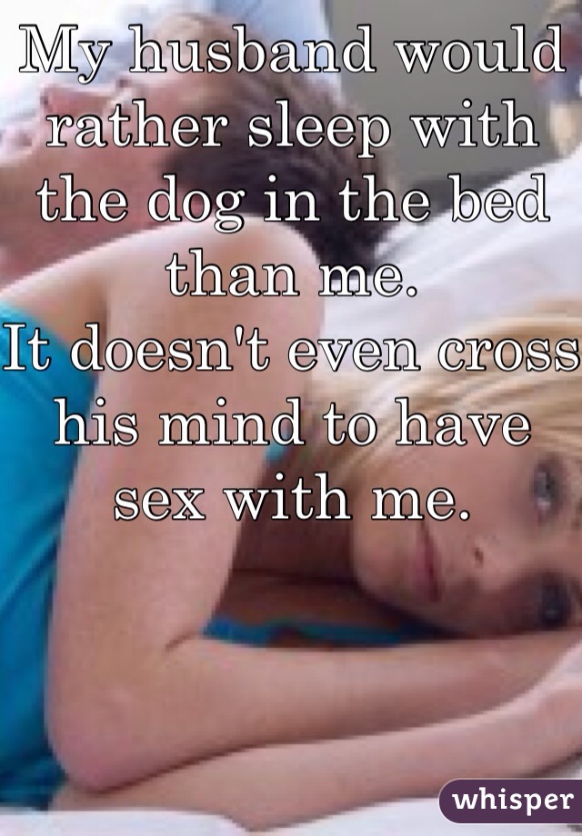 My husband would rather sleep with the dog in the bed than me. 
It doesn't even cross his mind to have sex with me. 